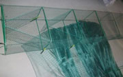 crayfish lobster net mesh trap cages