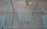 crayfish lobster net mesh trap cages
