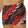 swim  briefs