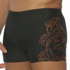 swim  briefs