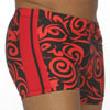 swim  briefs