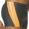 swim  briefs