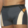 swim  briefs