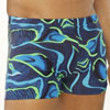 swim  briefs